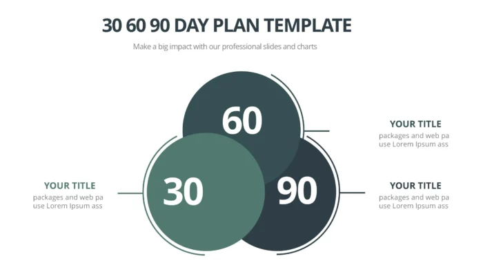 30 60 90 Days Plan x 20 Styles
